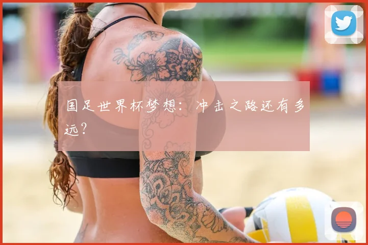 国足世界杯梦想：冲击之路还有多远？