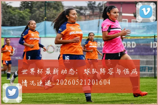 世界杯最新动态：球队阵容与伤病情况速递_20260521201604